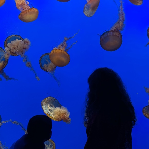 Meet your Posher ☺️ - Picture 15 of 15